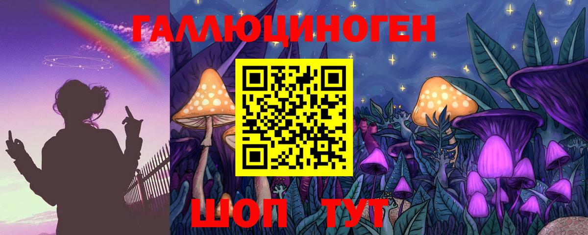 Галлюциногенные грибы Cubensis Калуга