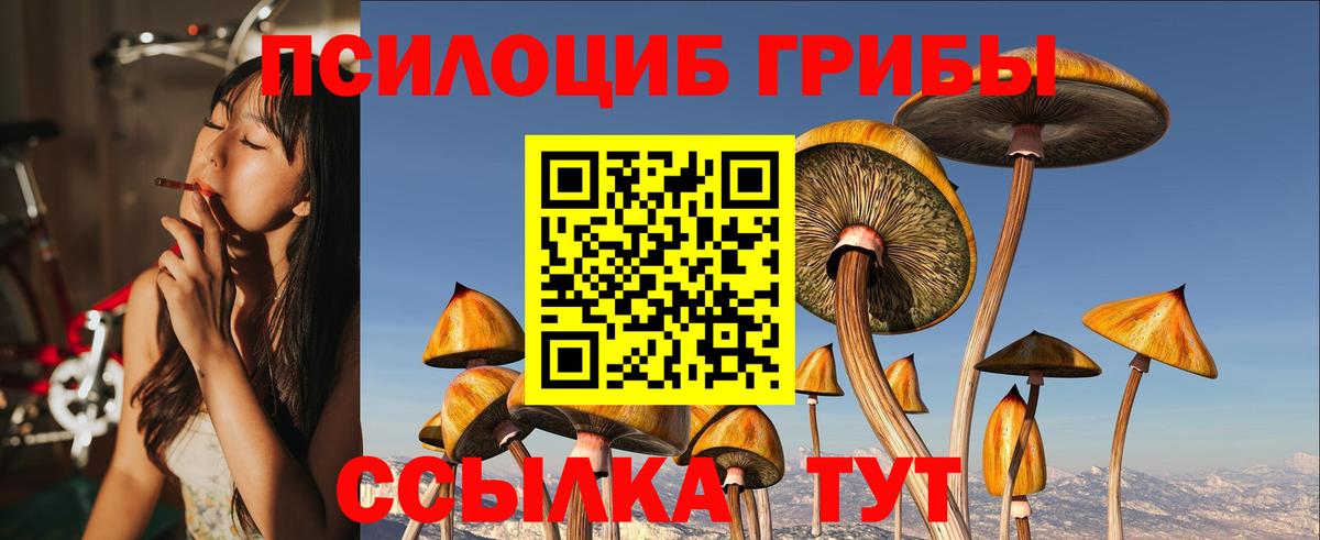 Калуга  Галлюциногенные грибы Cubensis  Вход с VPN  Галлюциногенные грибы мицелий 